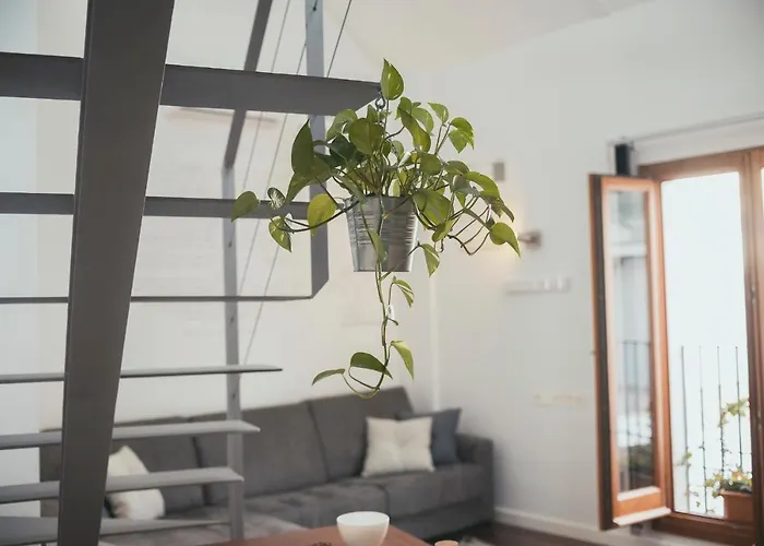 Grupo Limcotel Loft Trigo 13 Piscina Córdoba