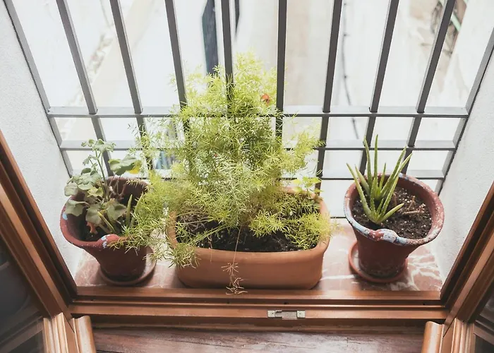 Grupo Limcotel Loft Trigo 13 Piscina Lägenhet *