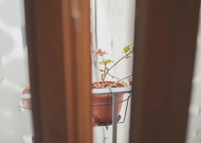 Grupo Limcotel Loft Trigo 13 Piscina