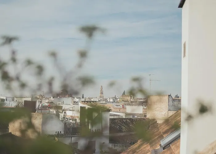 Lägenhet Grupo Limcotel Loft Trigo 13 Piscina *