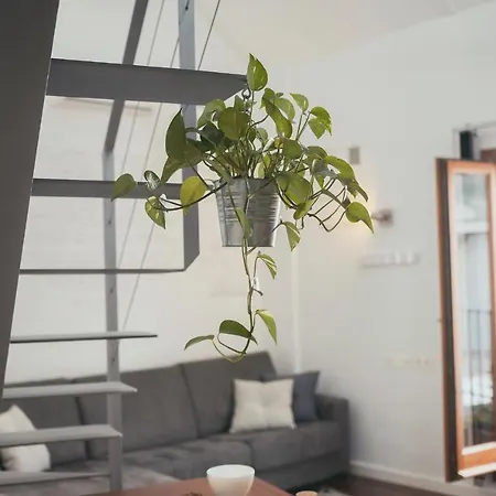 Grupo Limcotel Loft Trigo 13 Piscina Cordoba