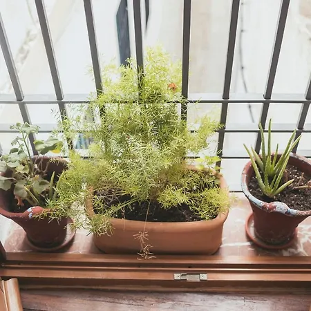 Grupo Limcotel Loft Trigo 13 Piscina Apartment *