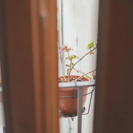 Grupo Limcotel Loft Trigo 13 Piscina