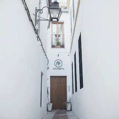 Grupo Limcotel Loft Trigo 13 Piscina Apartment *